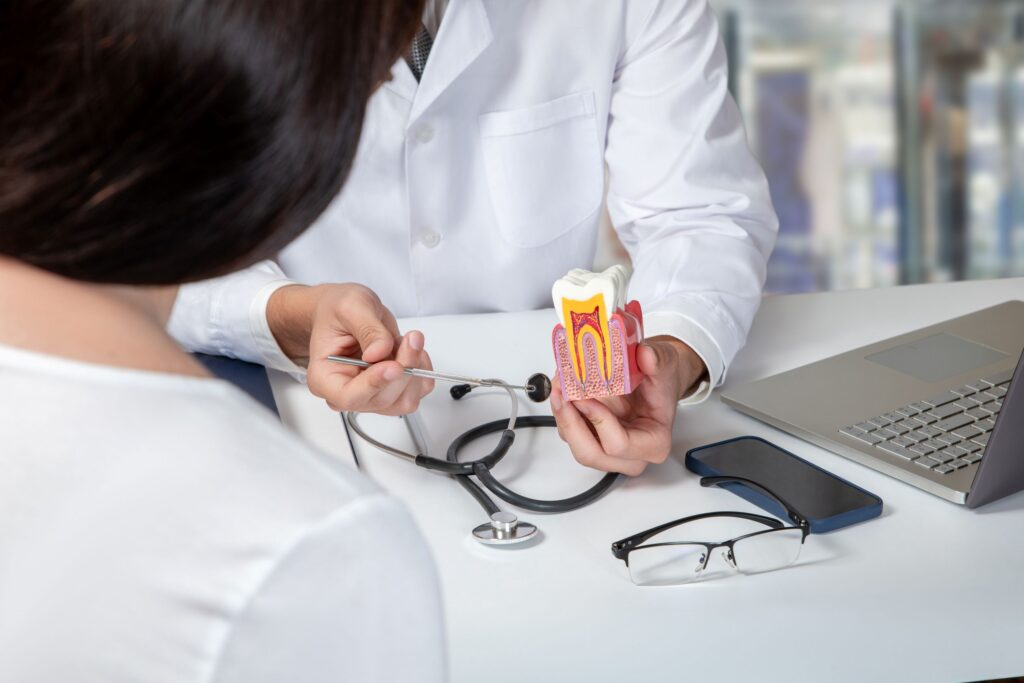 Dentist using describing root canal to patient using model tooth